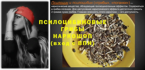 ГАЛЛЮЦИНОГЕННЫЕ ГРИБЫ Алексеевка