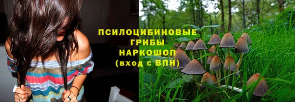 молекула духа Осинники