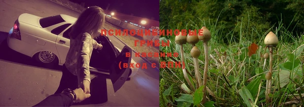 ГАЛЛЮЦИНОГЕННЫЕ ГРИБЫ Алексеевка
