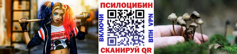 Галлюциногенные грибы Magic Shrooms Тулун